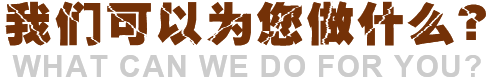 我們可以為您做什么？